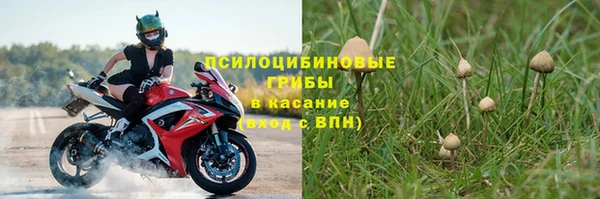 mdpv Куйбышев