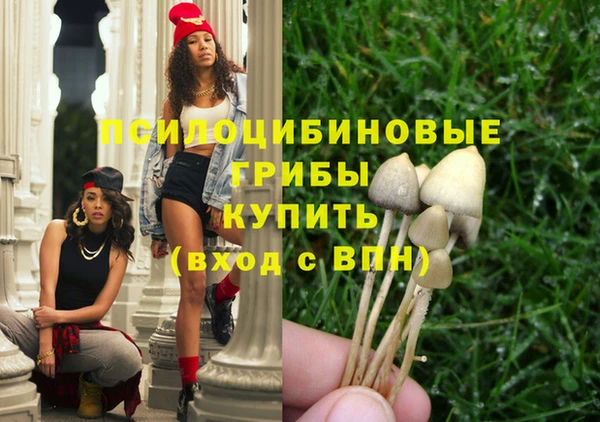 ешки Лиски