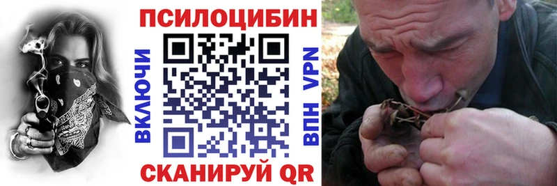 Псилоцибиновые грибы GOLDEN TEACHER  Купить где  Волосово 